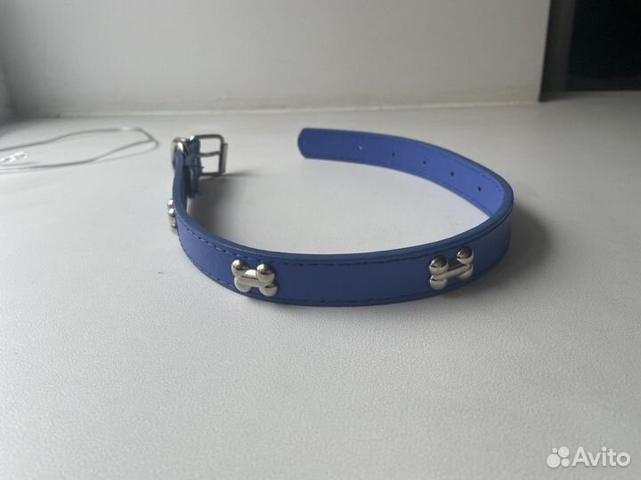 Ошейник для собак