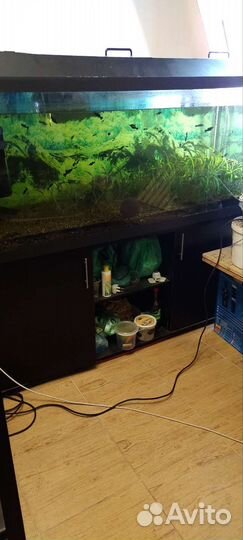 Аквариум