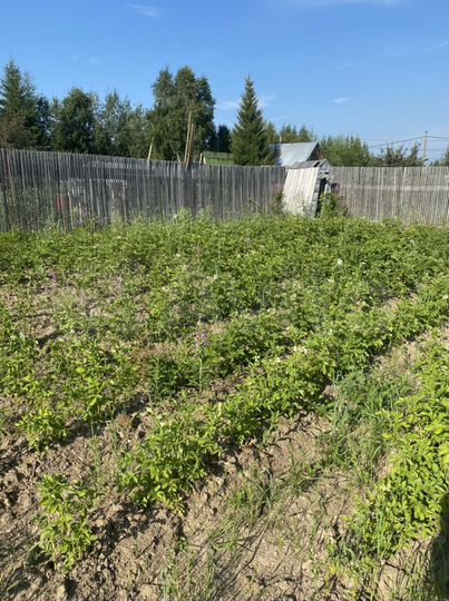 Участок 6 сот. (СНТ, ДНП)