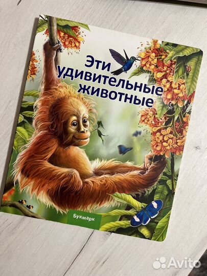 Интерактивные книги букмарк