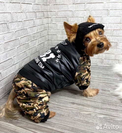 Большой выбор одежды для собак и кошек