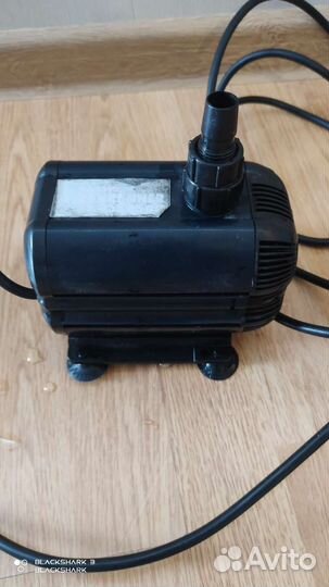 Большой аквариум и не только