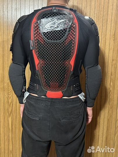 Alpinestars bionic tech V2