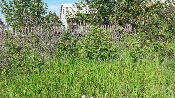 Участок 14,4 сот. (СНТ, ДНП)