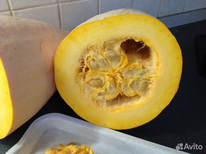 Тыква Розовый Банан семена