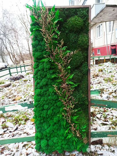 Картина со стабилизированным мхом