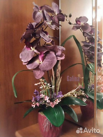 Интерьерные композиции