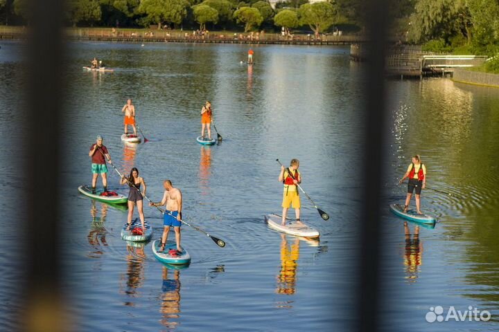 Аренда сапов, прокат сапбордов Зеленоград