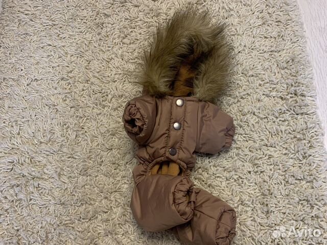 Костюм на маленькую собачку