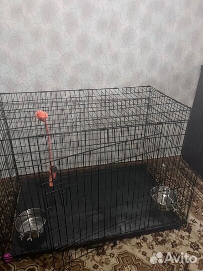 Клетка для собак