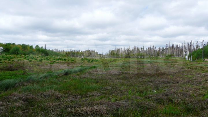 Участок 260 га (промназначения)