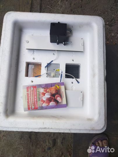 Инкубатор для яиц автоматический