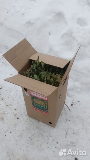 Продам веники дуб берёза