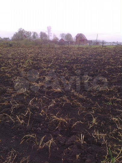 Участок 15 сот. (СНТ, ДНП)