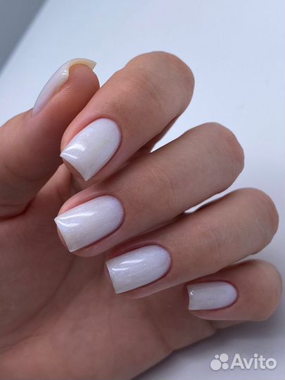 Требуются модели бесплатно