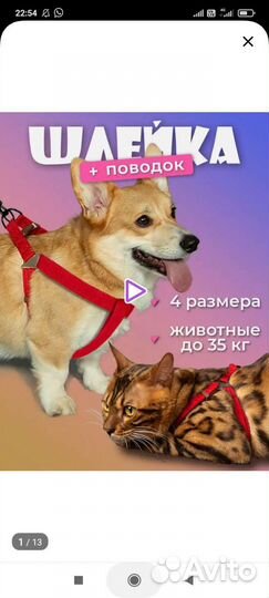 Шлейка с поводком