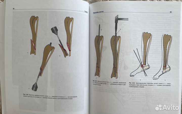 Атлас оперативной хирургии для ветеринаров