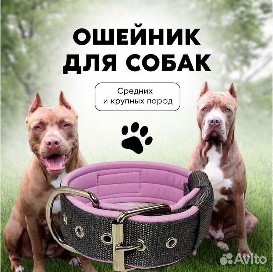 Широкий ошейник для собак