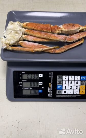 Краб Стригун (Опилио)