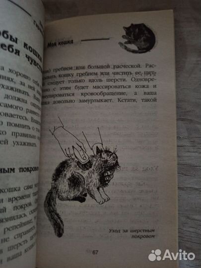 Моя кошка книга