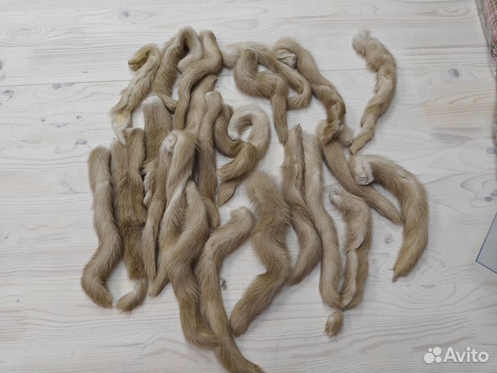 Хвостики норки