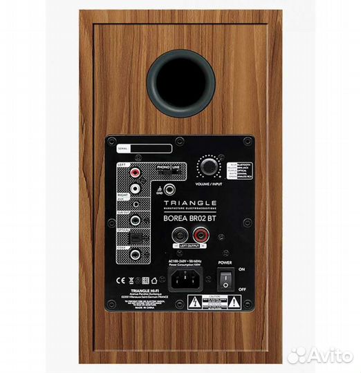 Полочная акустика Triangle borea BR02 BT Oak Green