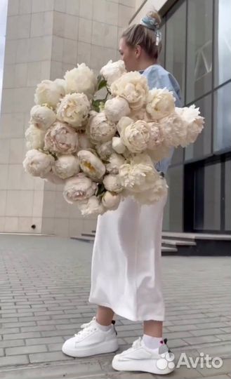 Букет пионов с беспл. доставкой