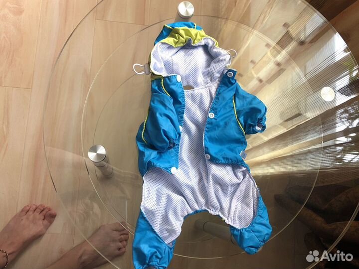 Летний пыльник для маленькой собачки