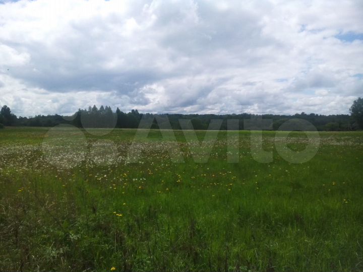 Участок 3,6 га (ИЖС)