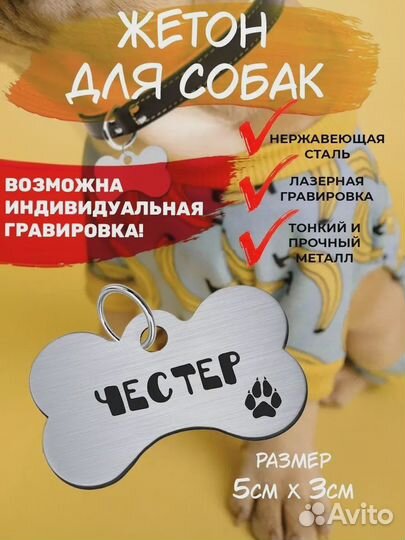 Брелок для собак Честер