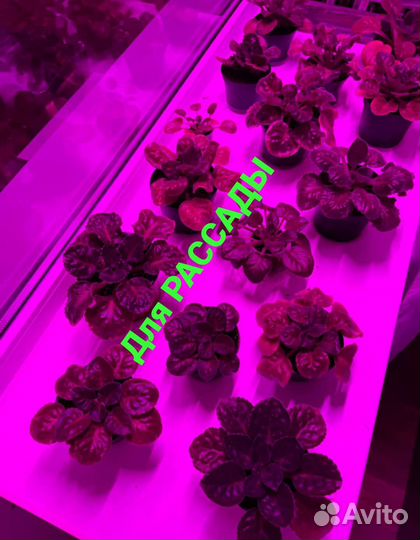 Фитолампа новая, фитосвелильник для рассады