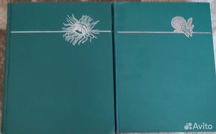 Энциклопедия жизнь животных