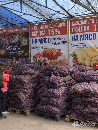 Картофель лук