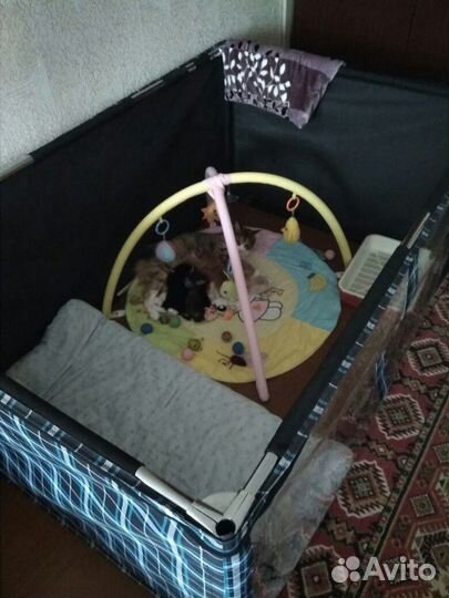 Вольер для животных