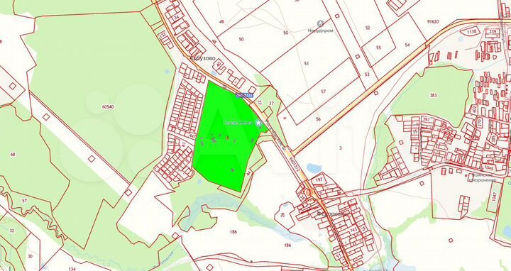 Территория пионерского лагеря 