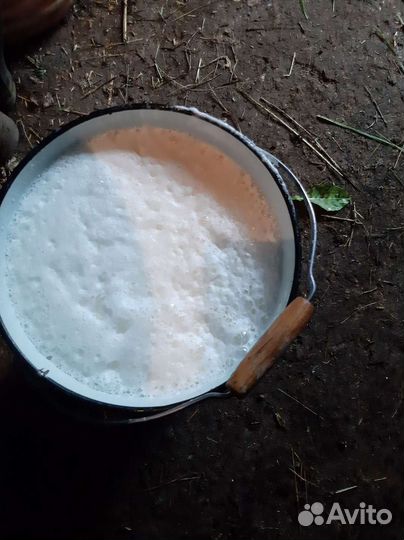 Продам корову