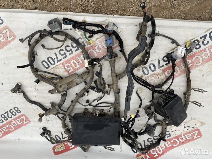 Land Cruiser 200 проводка моторного отсека