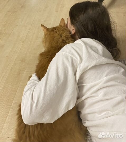 Передержка