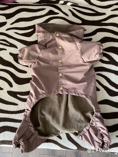 Одежда для маленьких собак