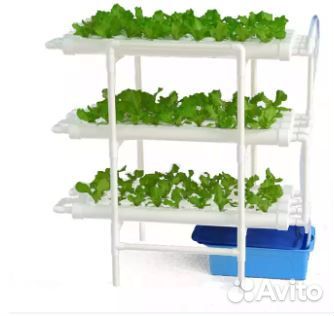 Фитолампа для микрозелени на стеллажи