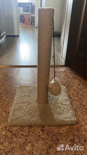 Когтеточка