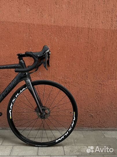 Cannondale Synapse CF Disc Ultegra