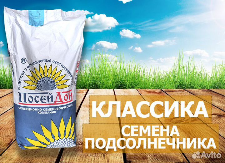 Гибриды семена подсолнечника Монарх Заразиха F-G