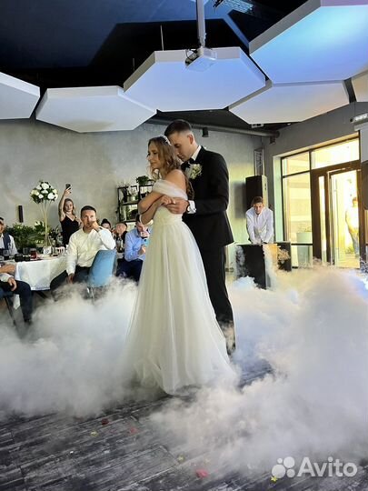 Диджей + ведущий