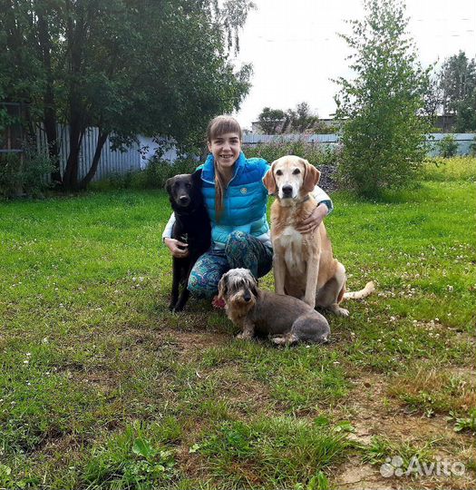 Кинолог зоопсихолог с выездом