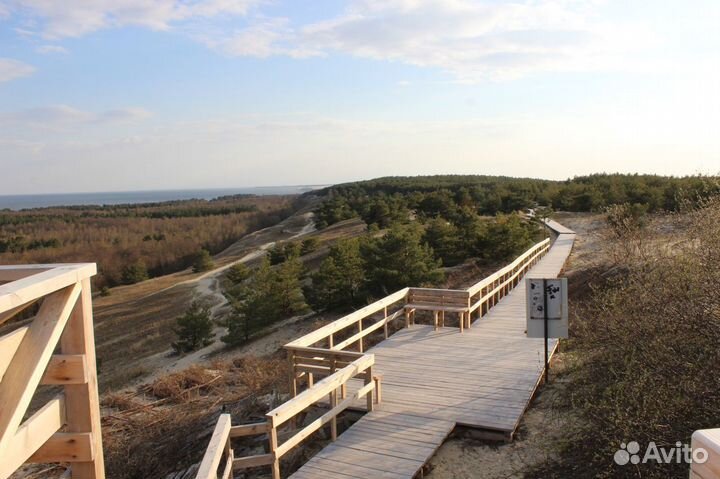 Экскурсия на куршскую косу