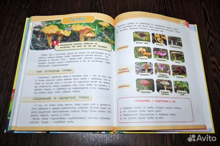 Энциклопедия дошкольника и развивалок