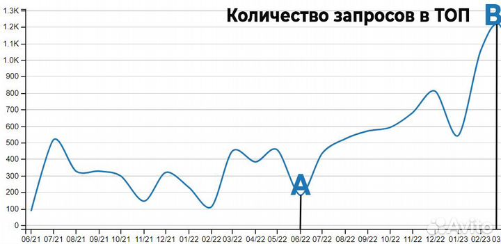 Продвижение сайтов интернет-магазинов, услуг (SEO)