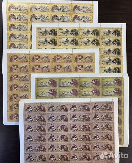 1988. Охотничьи собаки