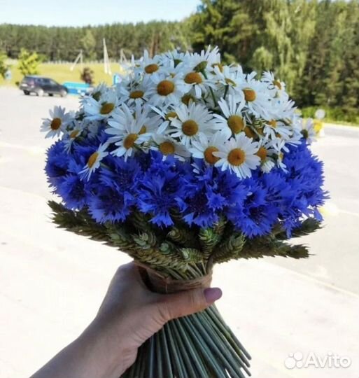 Васильки цветы букет